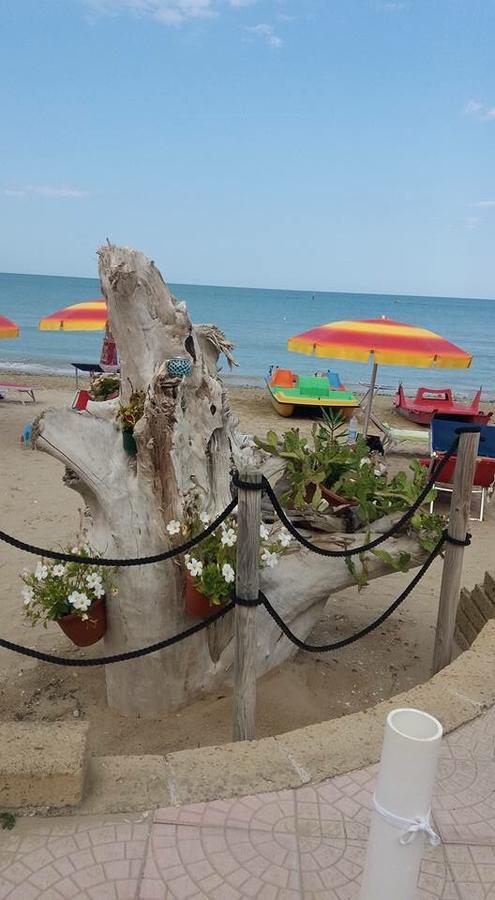 B&B El Gatt Маротта Екстер'єр фото